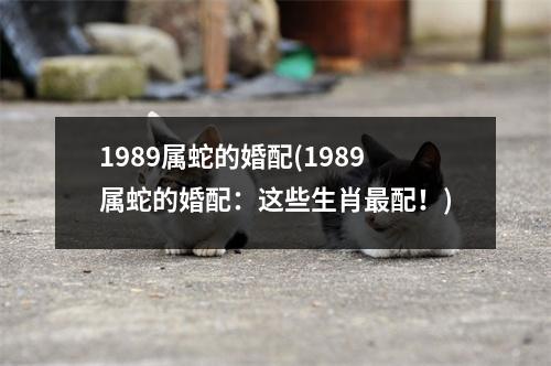 1989属蛇的婚配(1989属蛇的婚配：这些生肖配！)