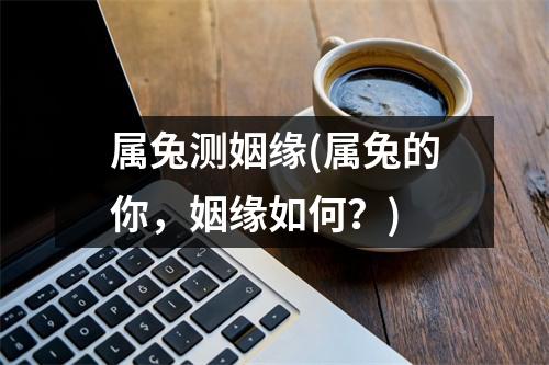 属兔测姻缘(属兔的你，姻缘如何？)