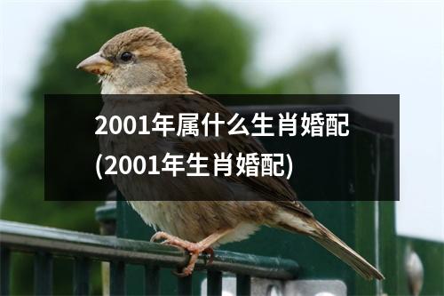 2001年属什么生肖婚配(2001年生肖婚配)