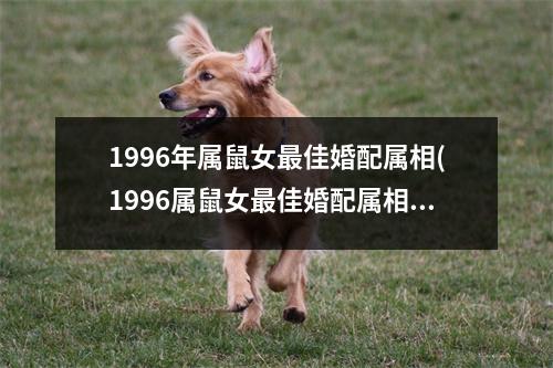 1996年属鼠女佳婚配属相(1996属鼠女佳婚配属相大揭秘)