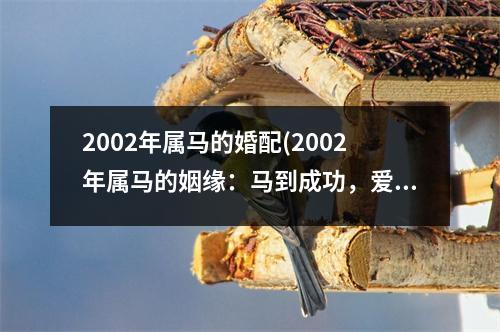 2002年属马的婚配(2002年属马的姻缘：马到成功，爱情如火热。)