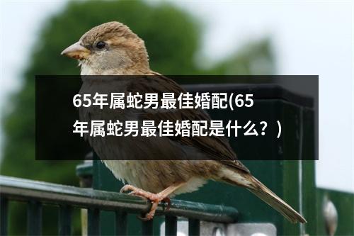 65年属蛇男佳婚配(65年属蛇男佳婚配是什么？)