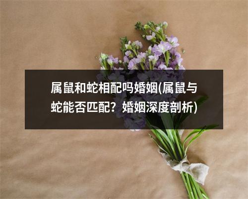 属鼠和蛇相配吗婚姻(属鼠与蛇能否匹配？婚姻深度剖析)