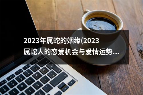 2023年属蛇的姻缘(2023属蛇人的恋爱机会与爱情运势)