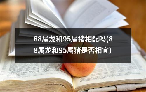 88属龙和95属猪相配吗(88属龙和95属猪是否相宜)