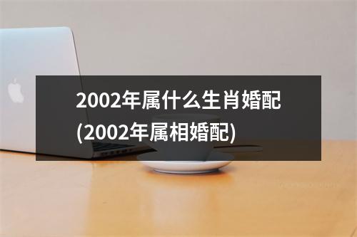 2002年属什么生肖婚配(2002年属相婚配)