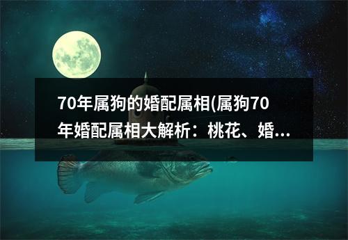 70年属狗的婚配属相(属狗70年婚配属相大解析：桃花、婚姻、五行缺失、命理破解！)