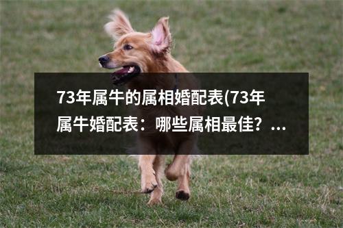 73年属牛的属相婚配表(73年属牛婚配表：哪些属相佳？)