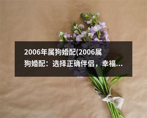 2006年属狗婚配(2006属狗婚配：选择正确伴侣，幸福长久！)