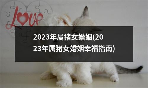 2023年属猪女婚姻(2023年属猪女婚姻幸福指南)