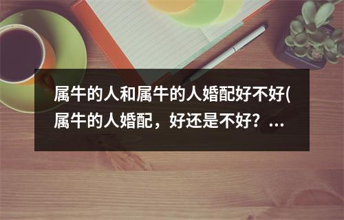 属牛的人和属牛的人婚配好不好(属牛的人婚配，好还是不好？)