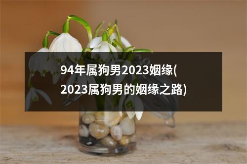 94年属狗男2023姻缘(2023属狗男的姻缘之路)