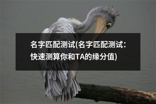 名字匹配测试(名字匹配测试：快速测算你和TA的缘分值)