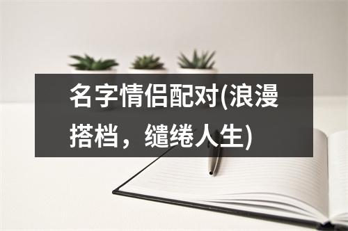 名字情侣配对(浪漫搭档，缱绻人生)