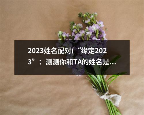 2023姓名配对(“缘定2023”：测测你和TA的姓名是否天作之合！)