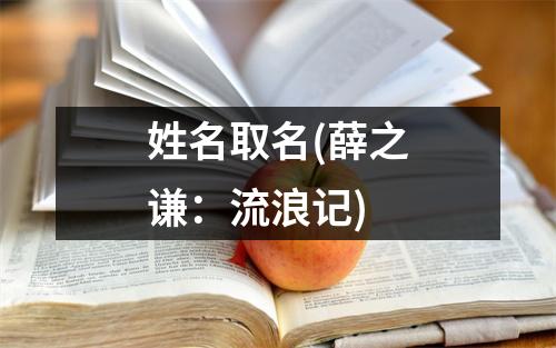 姓名取名(薛之谦：流浪记)