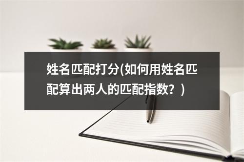 姓名匹配打分(如何用姓名匹配算出两人的匹配指数？)