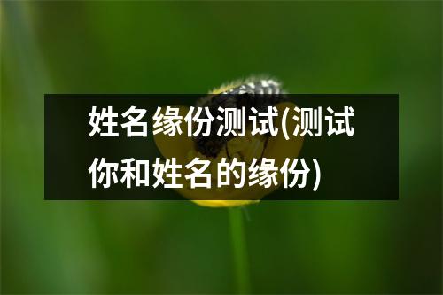 姓名缘份测试(测试你和姓名的缘份)