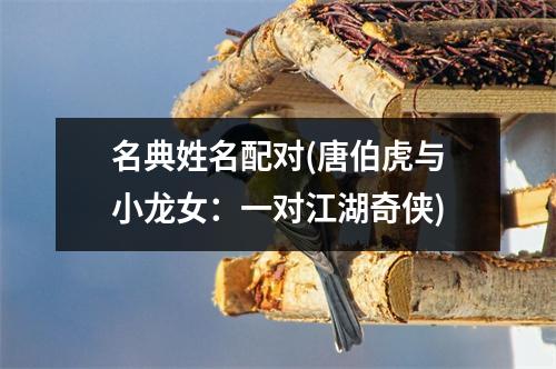 名典姓名配对(唐伯虎与小龙女：一对江湖奇侠)