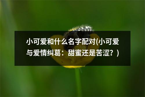 小可爱和什么名字配对(小可爱与爱情纠葛：甜蜜还是苦涩？)