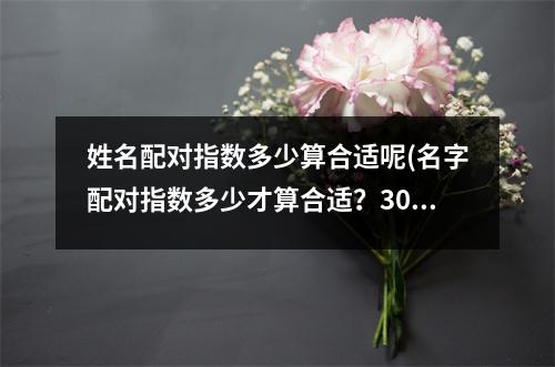 姓名配对指数多少算合适呢(名字配对指数多少才算合适？30字以内无标点。)