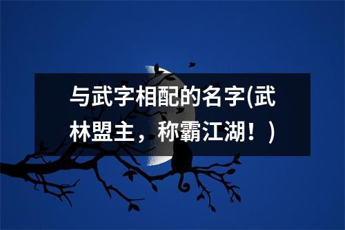 与武字相配的名字(武林盟主，称霸江湖！)