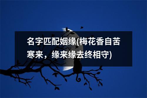 名字匹配姻缘(梅花香自苦寒来，缘来缘去终相守)