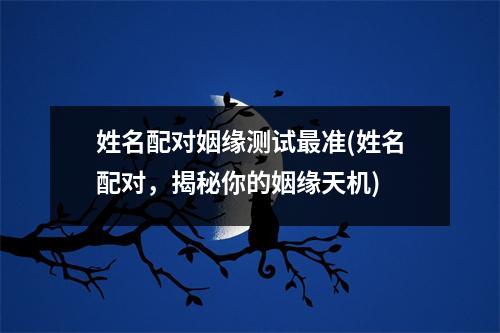 姓名配对姻缘测试准(姓名配对，揭秘你的姻缘天机)