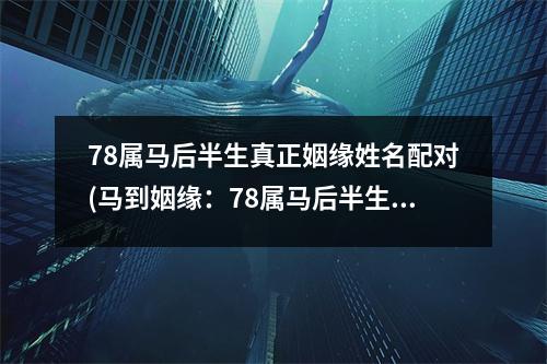 78属马后半生真正姻缘姓名配对(马到姻缘：78属马后半生姓名配对大揭秘)