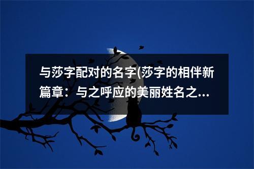 与莎字配对的名字(莎字的相伴新篇章：与之呼应的美丽姓名之谜)