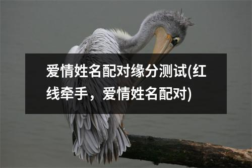 爱情姓名配对缘分测试(红线牵手，爱情姓名配对)