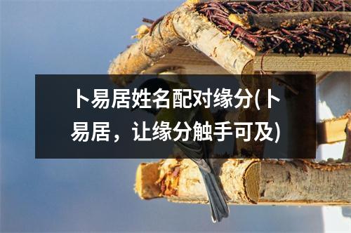 卜易居姓名配对缘分(卜易居，让缘分触手可及)