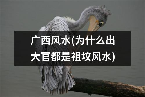 广西风水(为什么出大官都是祖坟风水)