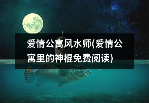 爱情公寓风水师(爱情公寓里的神棍免费阅读)