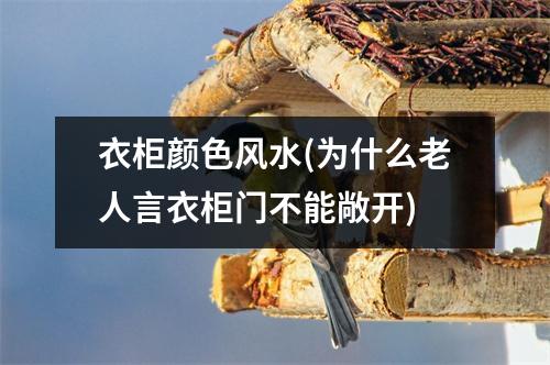 衣柜颜色风水(为什么老人言衣柜门不能敞开)