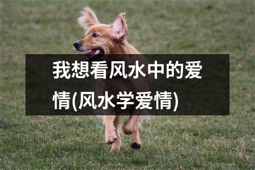 我想看风水中的爱情(风水学爱情)