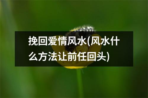 挽回爱情风水(风水什么方法让前任回头)