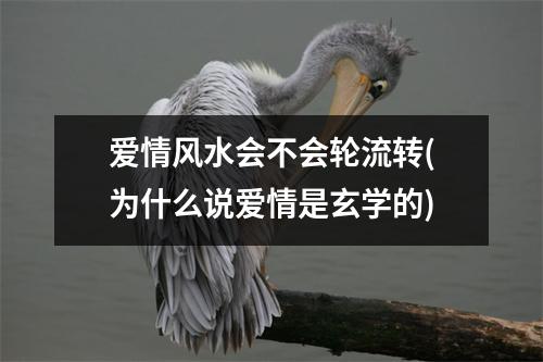 爱情风水会不会轮流转(为什么说爱情是玄学的)