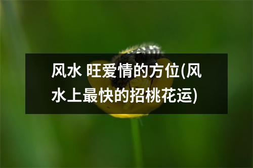 风水 旺爱情的方位(风水上快的招桃花运)