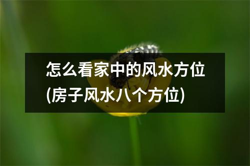 怎么看家中的风水方位(房子风水八个方位)