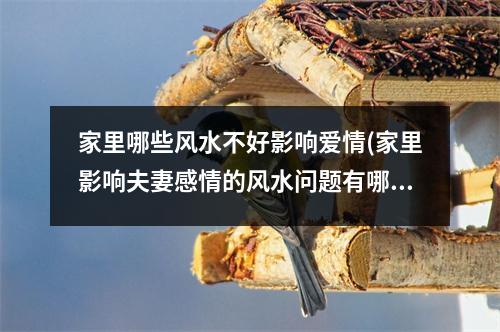 家里哪些风水不好影响爱情(家里影响夫妻感情的风水问题有哪些)