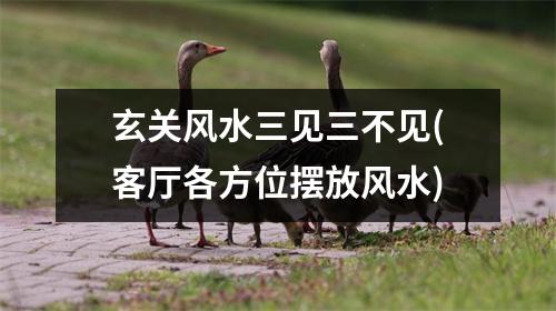 玄关风水三见三不见(客厅各方位摆放风水)