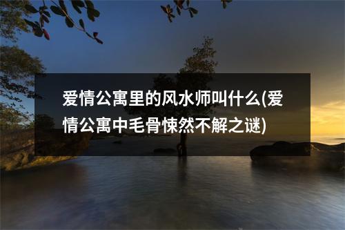 爱情公寓里的风水师叫什么(爱情公寓中毛骨悚然不解之谜)