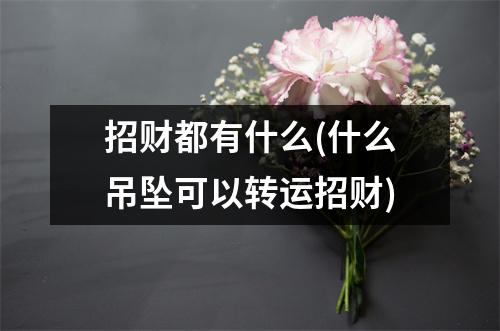 招财都有什么(什么吊坠可以转运招财)