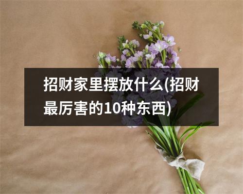 招财家里摆放什么(招财厉害的10种东西)