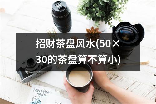 招财茶盘风水(50×30的茶盘算不算小)