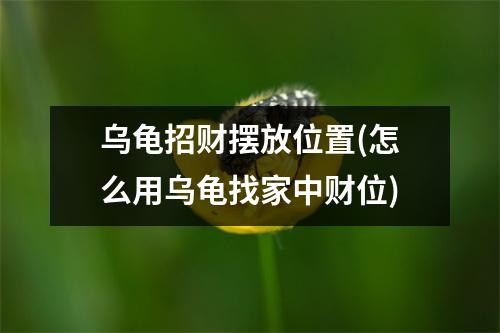 乌龟招财摆放位置(怎么用乌龟找家中财位)