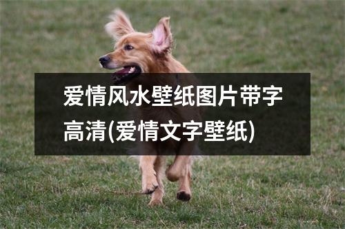 爱情风水壁纸图片带字高清(爱情文字壁纸)