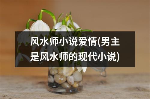 风水师小说爱情(男主是风水师的现代小说)