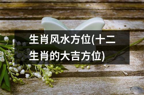 生肖风水方位(十二生肖的大吉方位)